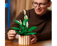 LEGO BOTANICALS 11504 Skrzydłokwiat - 1473410 - zdjęcie 4